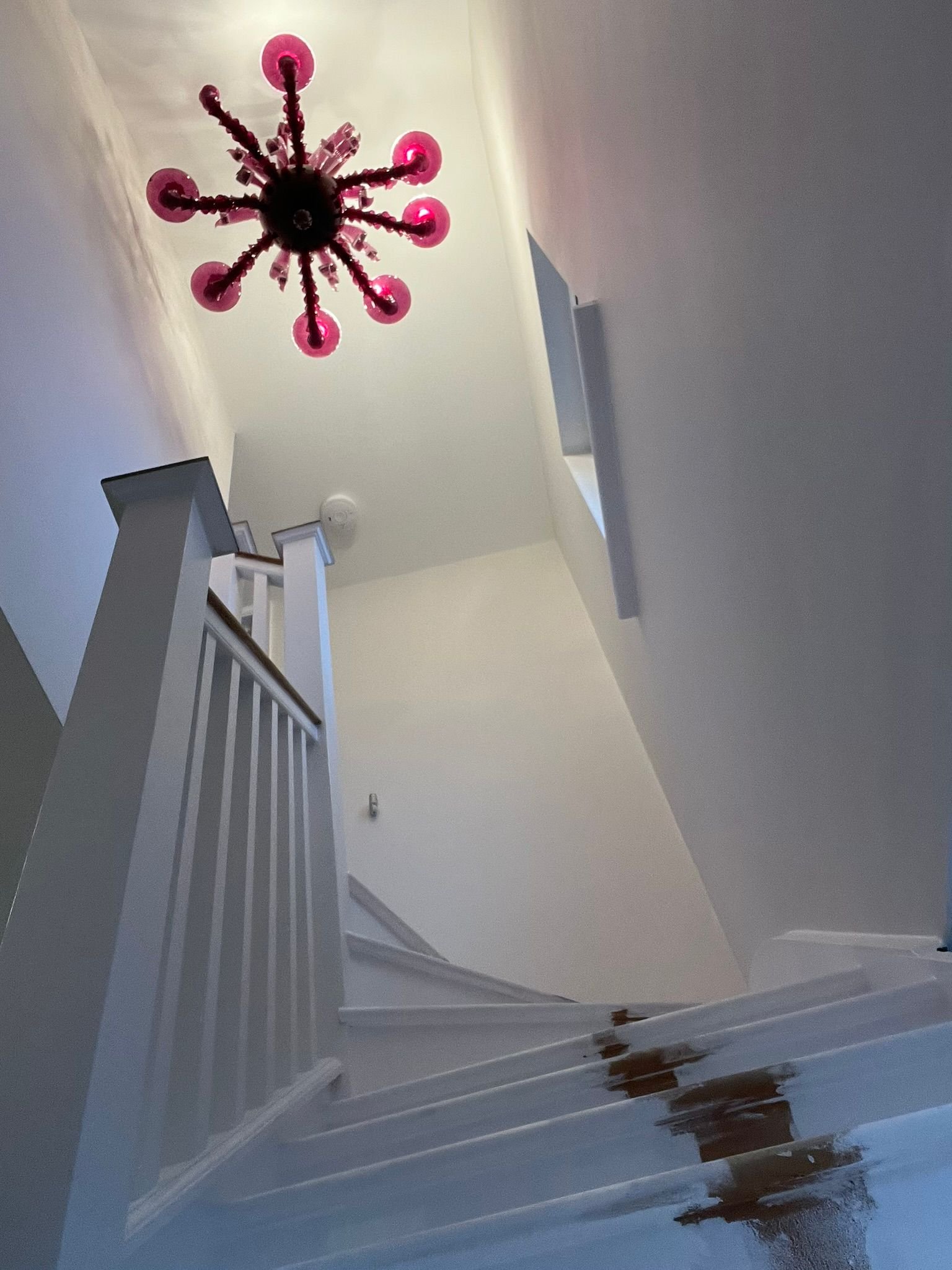 Prestige Painters Project 137
