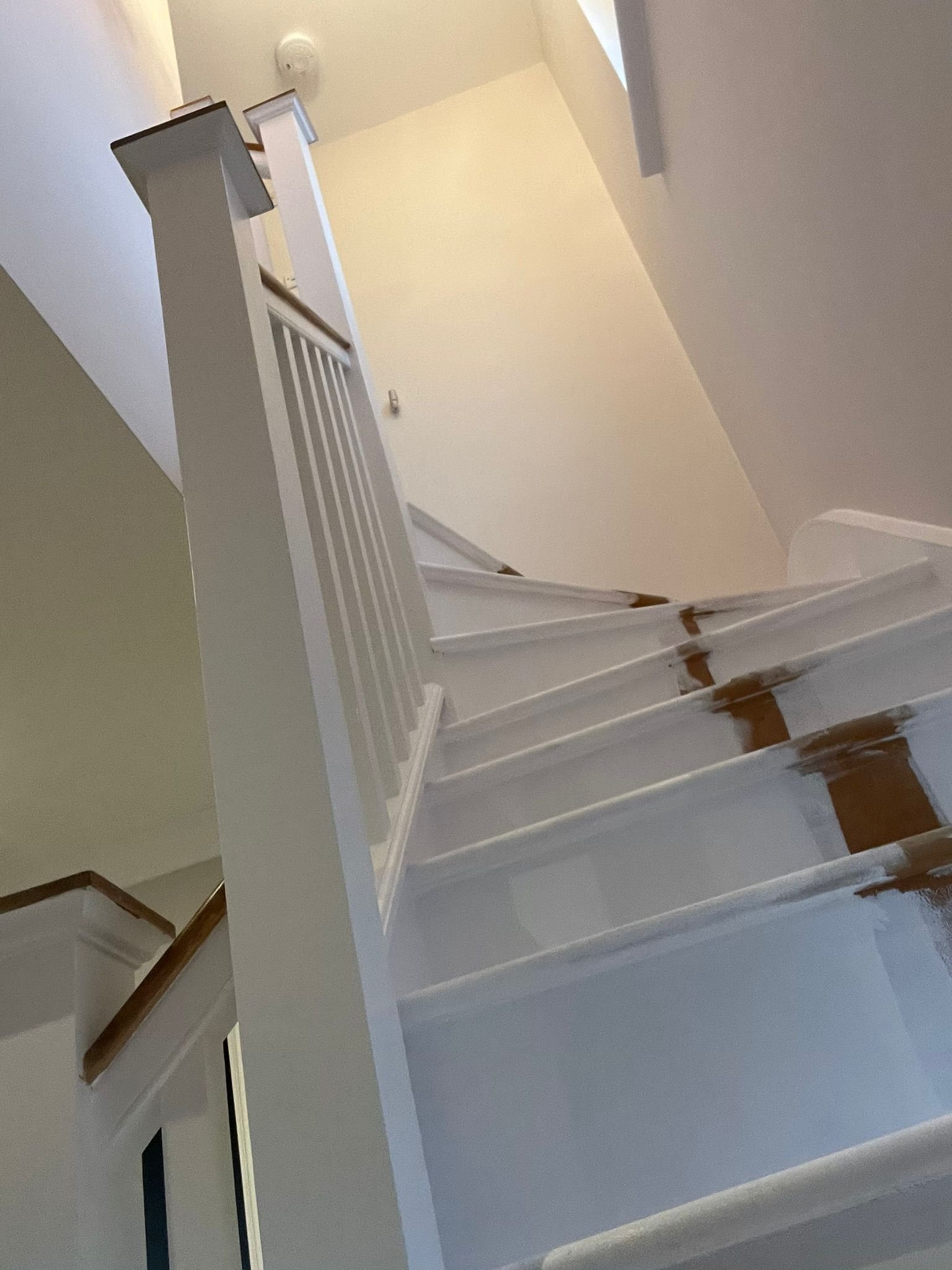 Prestige Painters Project 135