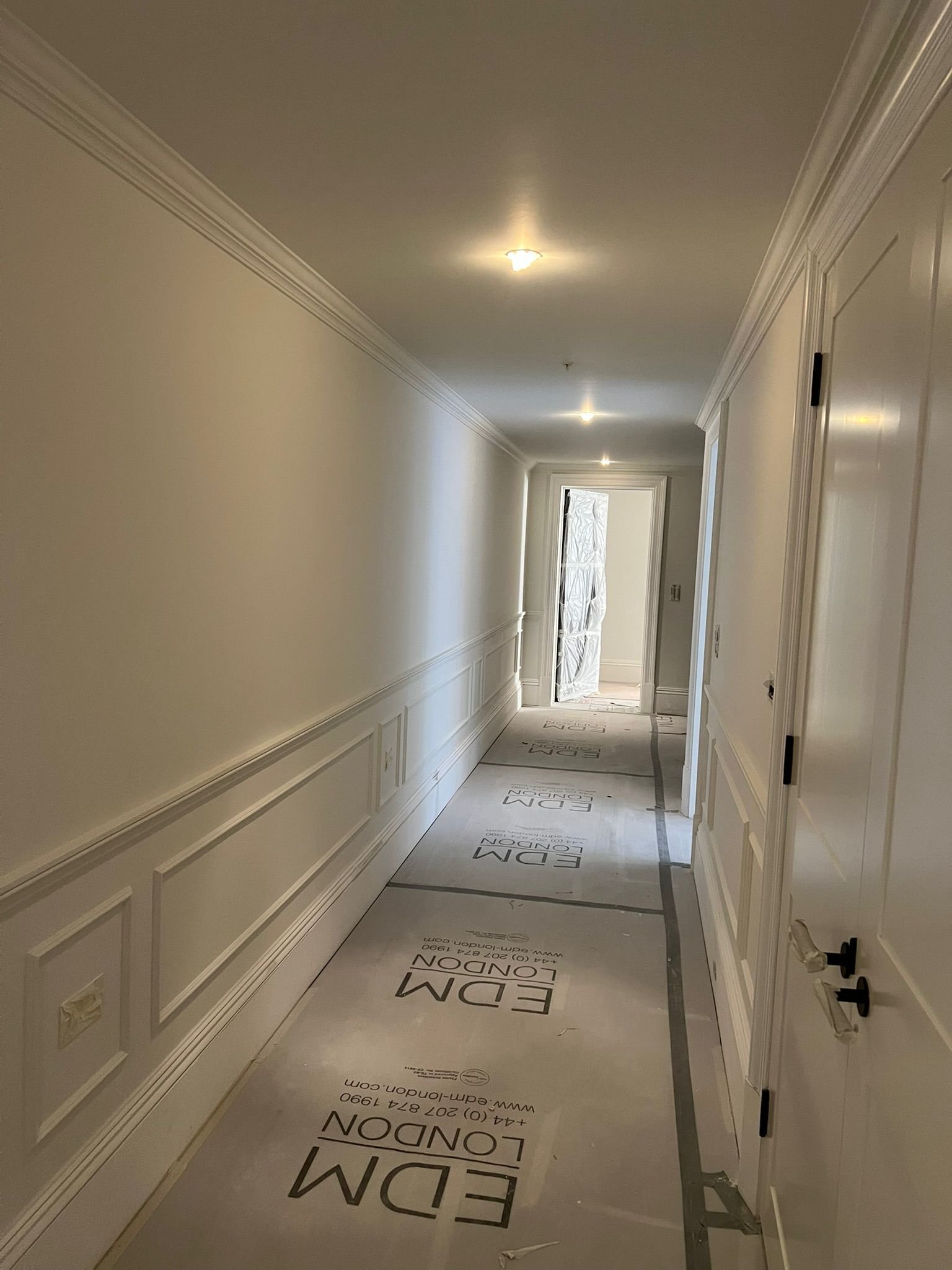 Prestige Painters Project 110