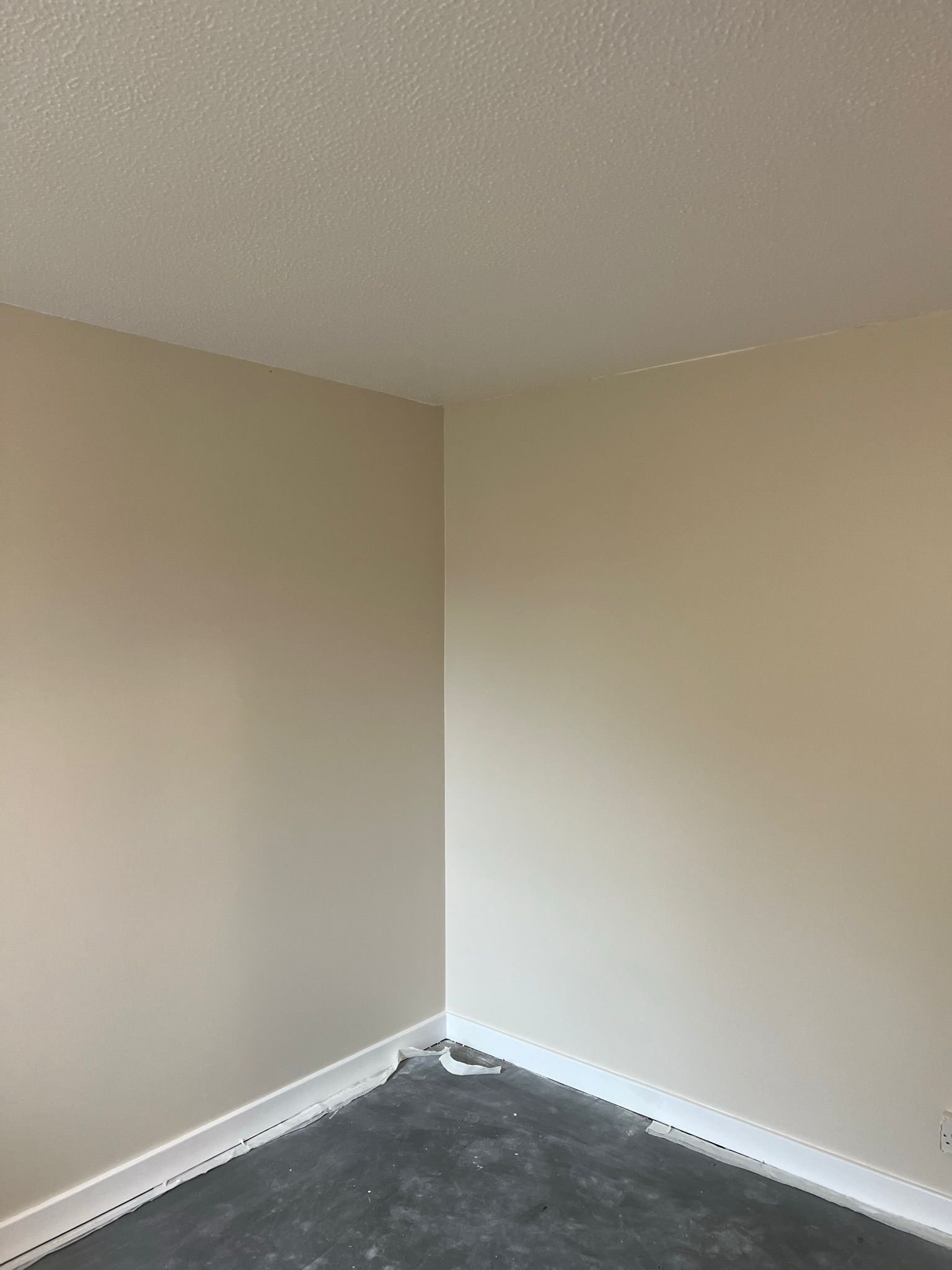 Prestige Painters Project 75