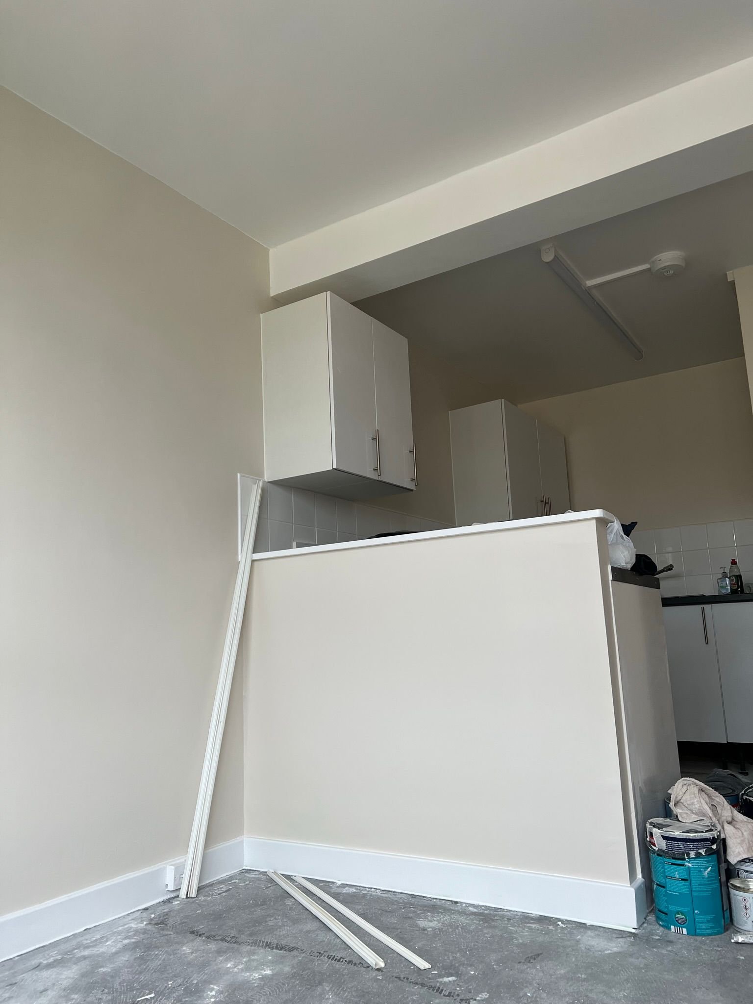 Prestige Painters Project 73