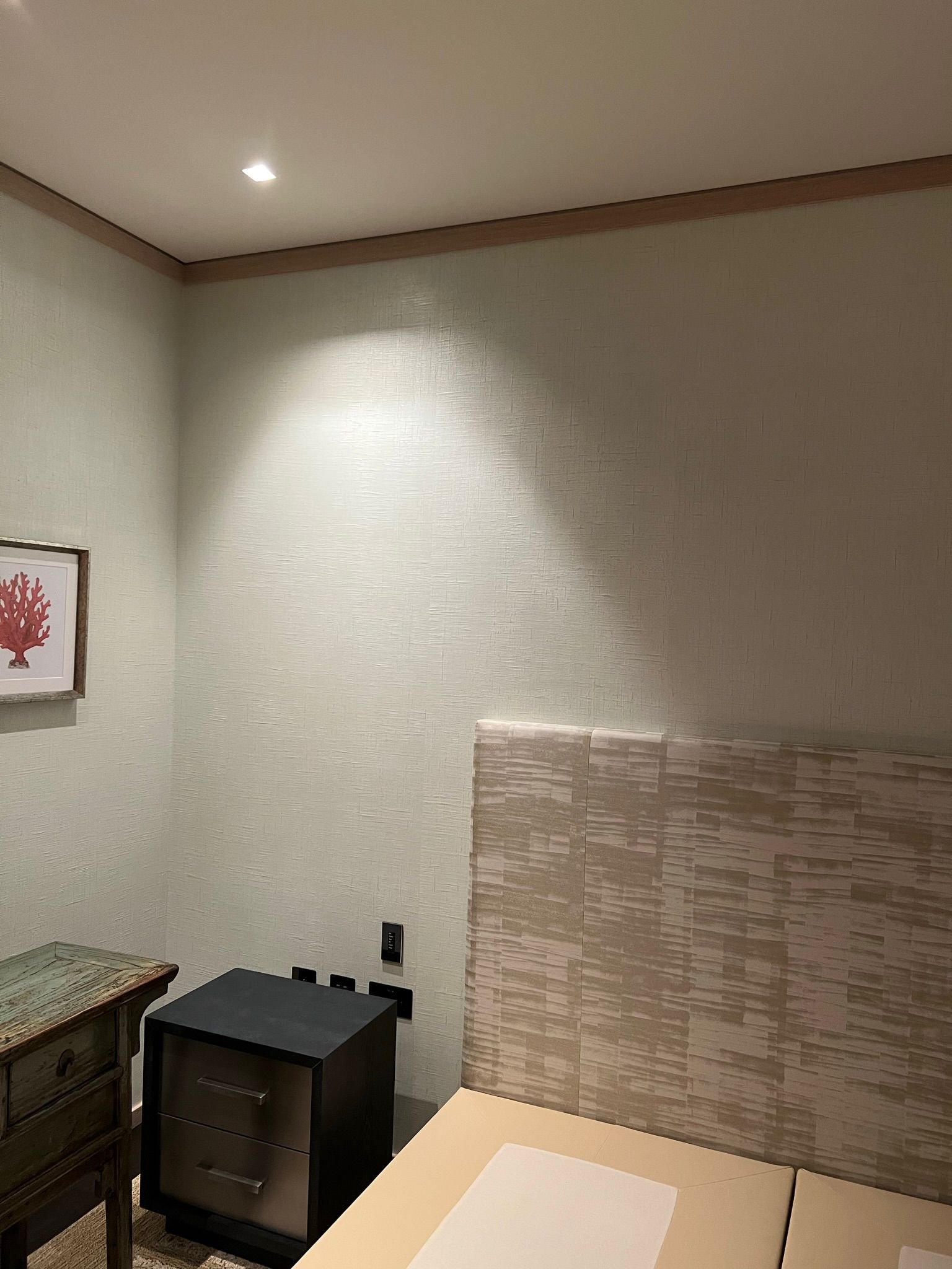 Prestige Painters Project 55