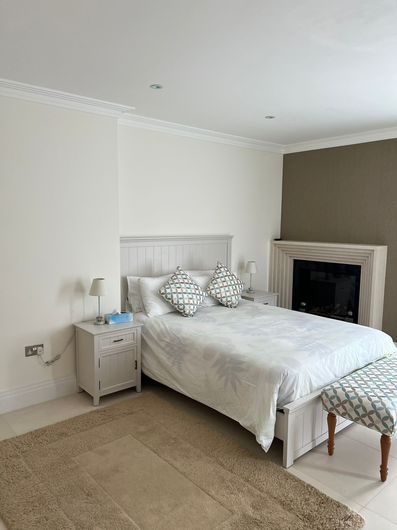 Prestige Painters Project 235