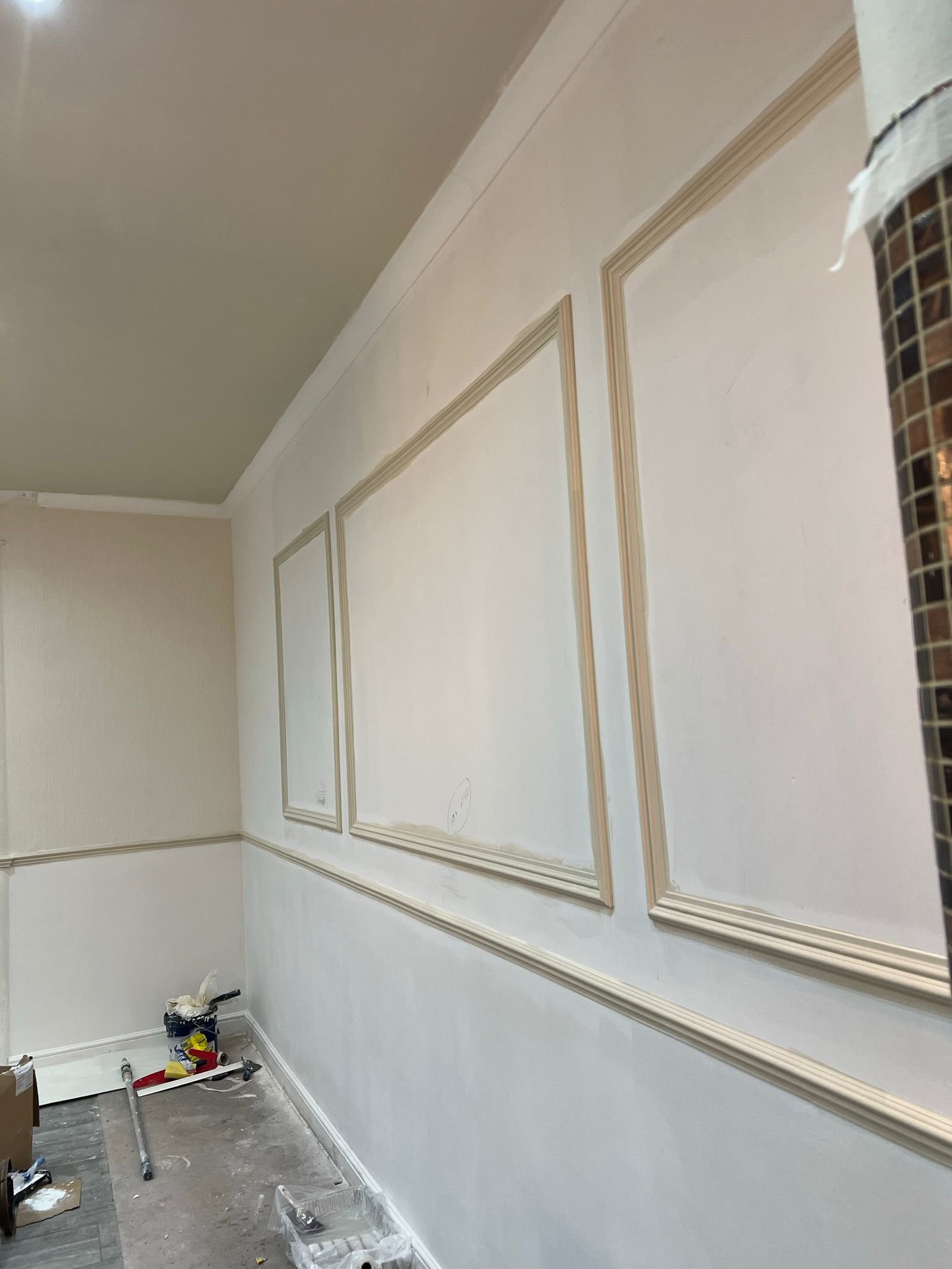 Prestige Painters Project 18