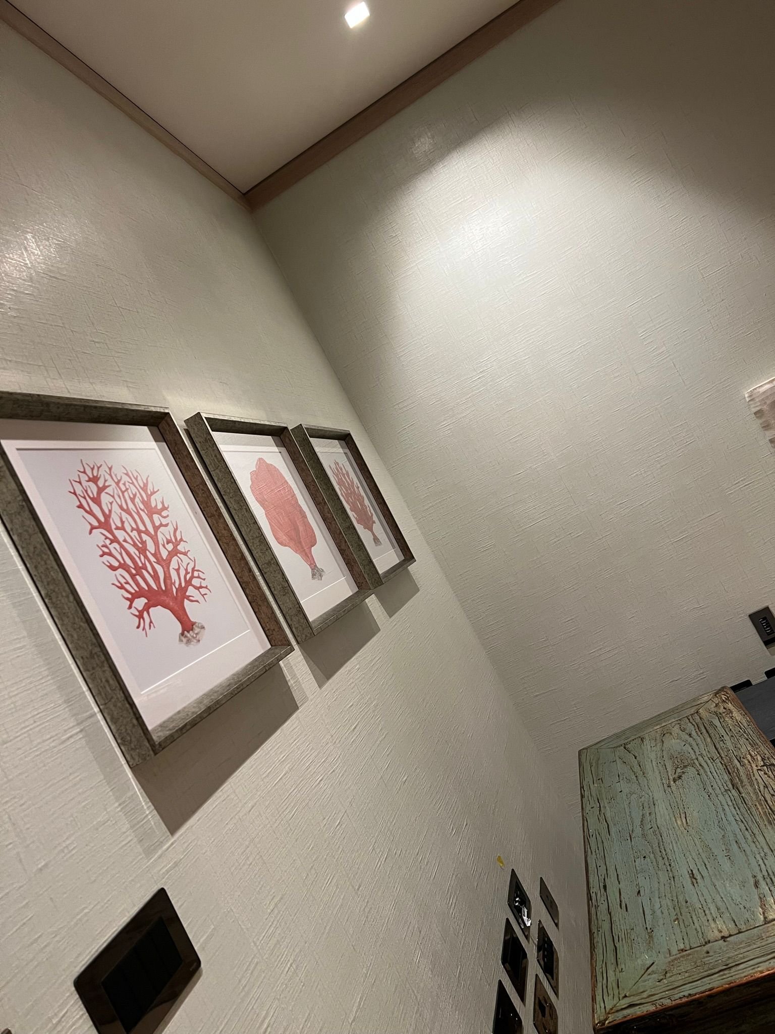 Prestige Painters Project 208